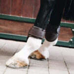 Kentucky Horsewear - Protège Boulets Cuir Marron – Image 2