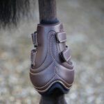 Kentucky Horsewear - Protège Boulets Double Coque Cuir Marron – Image 3