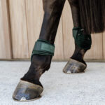 Kentucky Horsewear - Protège Boulets Young Horses Velvet Vert Sapin – Image 2