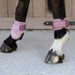 Kentucky Horsewear - Protège Boulets Young Horses Velvet Vieux Rose – Image 2