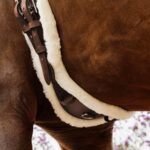 Kentucky Horsewear - Sangle Courte Sheepskin Anatomic Marron – Image 2