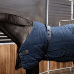 Kentucky Horsewear - Sangle Surfaix De Marcheur En Nylon Noir – Image 5