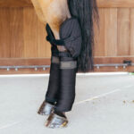 Kentucky Horsewear - Sous Bandes Transport & D'Écurie Avec Protection De Jarret – Image 2