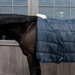 Kentucky Horsewear - Sous-Couverture Comfort Liner 300G Marine – Image 4