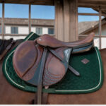 Kentucky Horsewear - Tapis De Cso Velvet Vert Foncé – Image 2