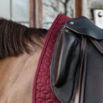Kentucky Horsewear - Tapis De Dressage Classic Bordeaux – Image 3