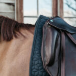 Kentucky Horsewear - Tapis De Dressage Classic Gris – Image 4