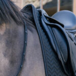 Kentucky Horsewear - Tapis De Dressage Metal Chain Noir – Image 4