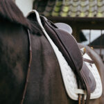 Kentucky Horsewear - Tapis De Dressage Plaited Cord Beige – Image 4