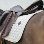 Kentucky Horsewear - Tapis De Dressage Plaited Cord Beige – Image 3