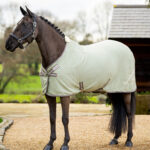 Lemieux - Chemise Séchantes Bambou Kudos Fern – Image 2