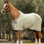 Lemieux - Chemise Séchantes Bambou Kudos Fern