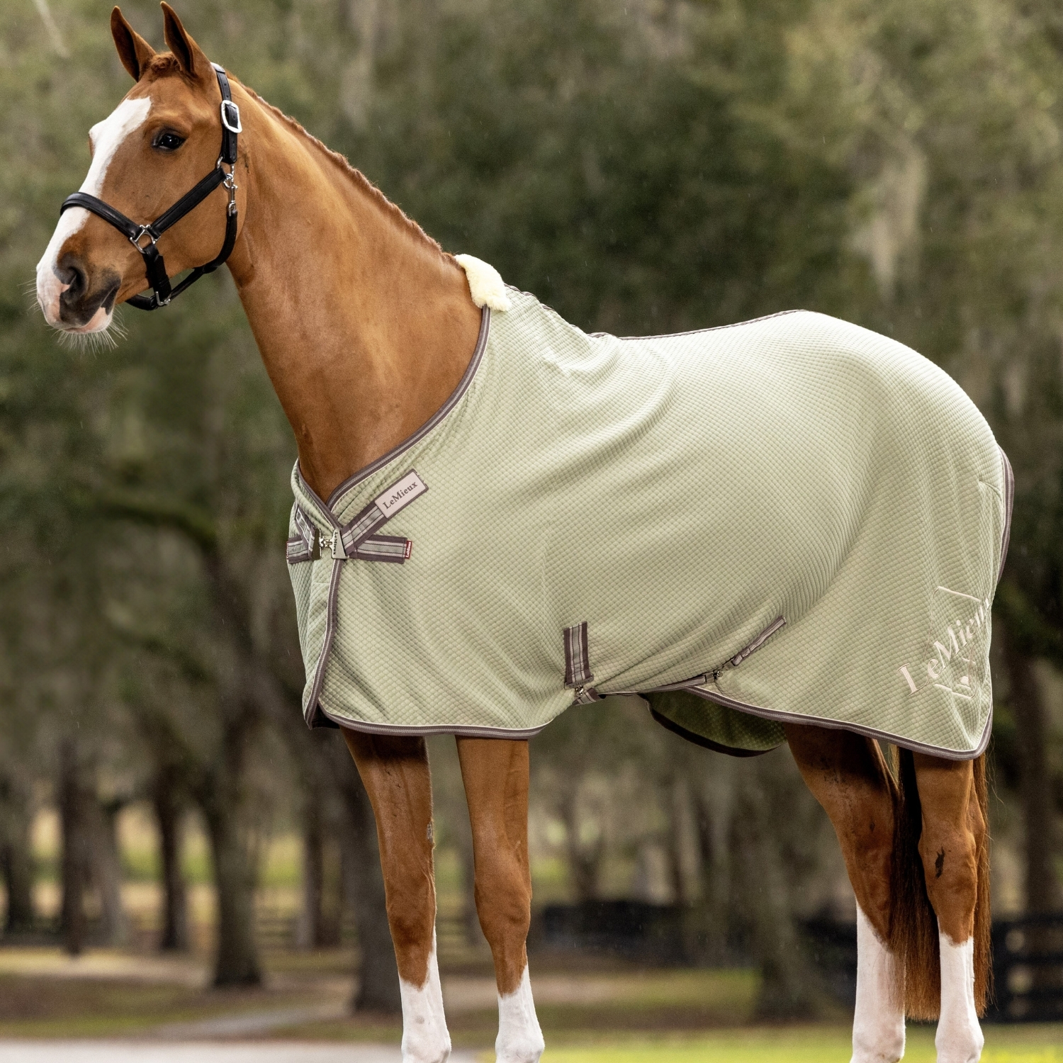 Lemieux-Chemise-Sechantes-Bambou-Kudos-Fern-cheval-occasion-2-ART0185320 Lemieux - Chemise Séchantes Bambou Kudos Fern – Image 1