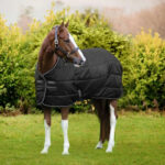 Horseware - Couverture De Box Amigo Diamond Insulator 100G Noir, Argent – Image 2