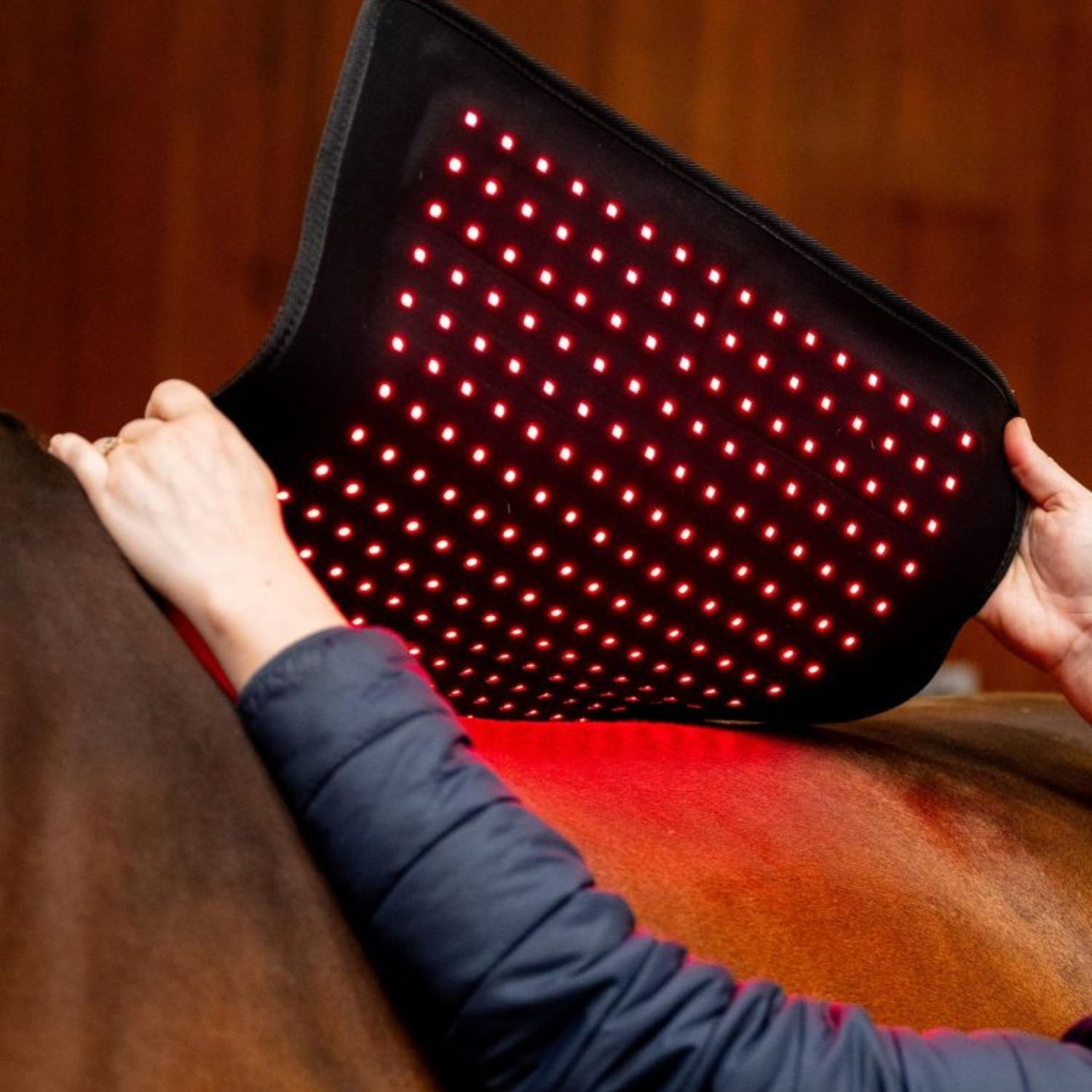 Horseware-Tapis-De-Cso-Therapie-Par-Lumiere-Rouge-Led-Noir-cheval-occasion-1-ART0678752 Horseware - Tapis De Cso Thérapie Par Lumière Rouge Led Noir – Image 1