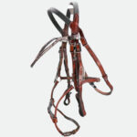 Ihwt - Bridon Evolution Infinity Frontal Vague Bogue – Image 2