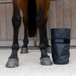 Kentucky Horsewear - Bottes de Soin & Refroidissement Noir – Image 3