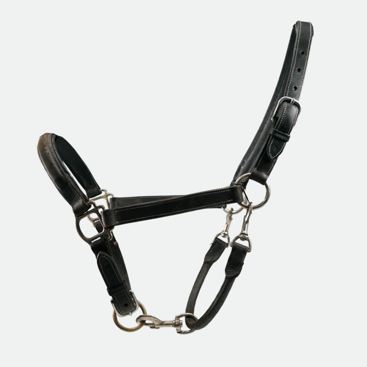 Cwd-Sellier-Licol-En-Cuir-Classique-Noir-cheval-occasion-3-ART0423426 Cwd Sellier - Licol En Cuir Classique Noir – Image 1
