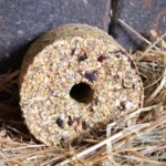 Happy Crackers - Happy Wild Immun – Image 3