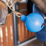 Kentucky Horsewear - Balle Protection D'Attache Bleu Royal – Image 2