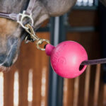 Kentucky Horsewear - Balle Protection D'Attache Rose – Image 2