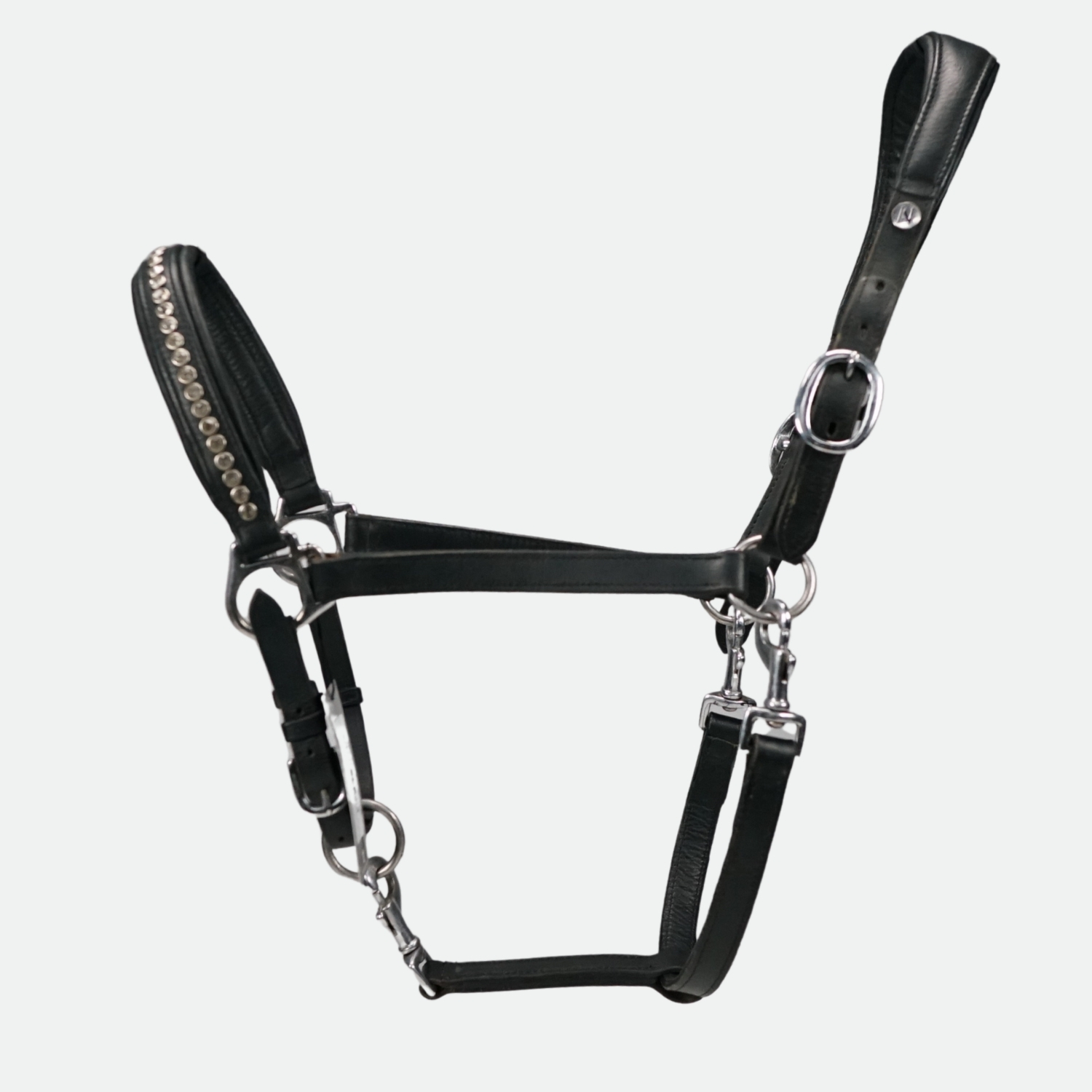 Norton-Pro-Licol-En-Cuir-Strass-Noir-cheval-occasion-1-ART0640606 Norton Pro - Licol En Cuir Strass Noir – Image 1