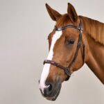 Dy'On - Bridon Sans Mors Working by Dy'on Marron – Image 2