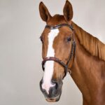 Dy'On - Bridon Sans Mors Working by Dy'on Marron – Image 4