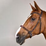 Dy'On - Bridon Sans Mors Working by Dy'on Marron – Image 3