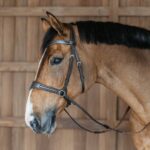 Dy'On - Bridon Working Motion By Dy'on Noir – Image 4