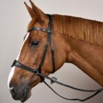 Dy'On - Bridon Working Motion By Dy'on Noir – Image 6