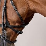 Dy'On - Bridon Working Motion By Dy'on Noir – Image 7