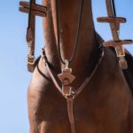 Cwd Sellier - Gogue Châtaigne – Image 4