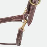 Devoucoux Sellier - Licol En Cuir Doublée Veau Havane – Image 3