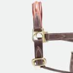 Devoucoux Sellier - Licol En Cuir Doublée Veau Havane – Image 2