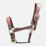 Devoucoux Sellier - Licol En Cuir Doublée Veau Havane