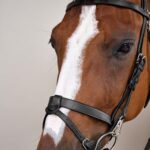 Dy'On - Bridon Cuir Plat Avec Mousquetons Working By Noir – Image 4