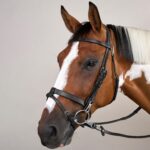 Dy'On - Bridon Cuir Plat Avec Mousquetons Working By Noir – Image 2