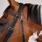 Dy'On - Bridon Cuir Plat Avec Mousquetons Working By Noir – Image 3