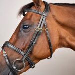 Dy'On - Bridon Muserolle Combinée Anatomique D Collection Noir – Image 3