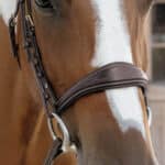 Dy'on - Muserolles Anatomique sans Noseband D Collection Marron – Image 2