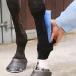 Kentucky Horsewear - Sous bandes Tendon Grip Chaussette Noir – Image 2